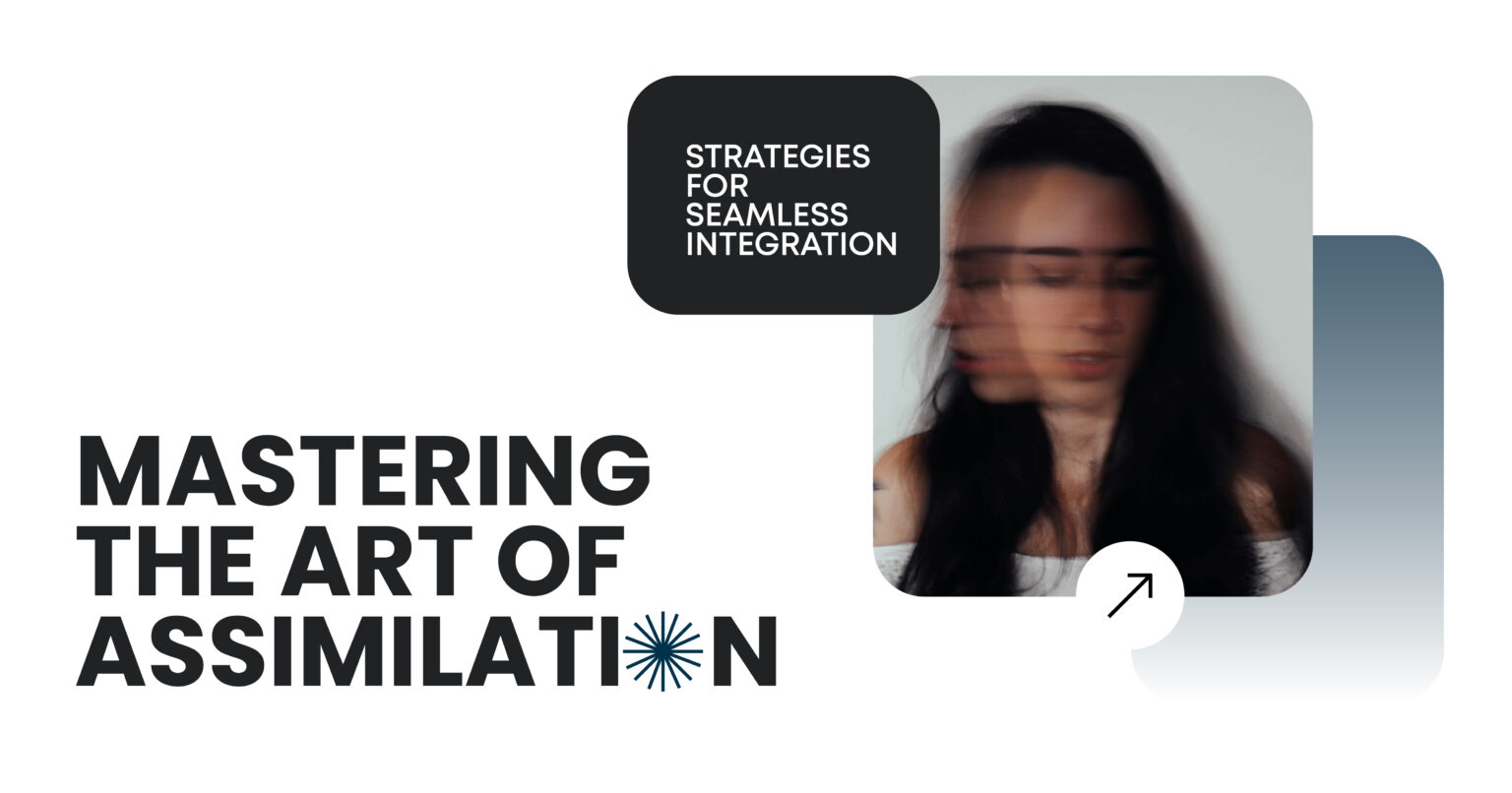 Assimilation Strategies - Master Seamless Integration Skills